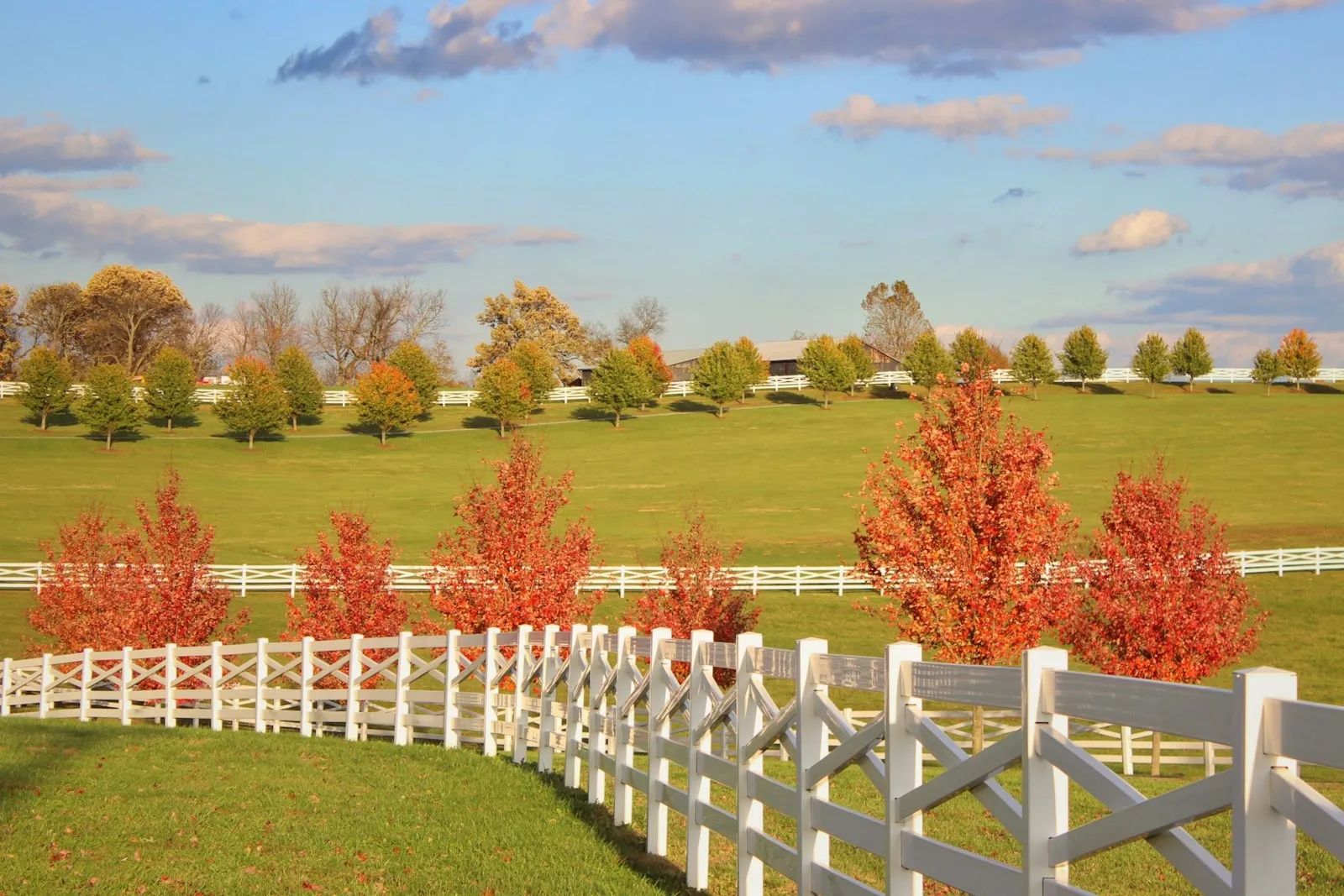 White ranch fence with cross rails along a field